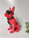 Beeld, Franse buldog rood met zonnebril - 37 cm - Polyester