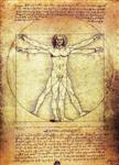 sculptuur, The Vitruvian Man in Frame - 32 cm - Hars