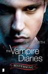 The Vampire Diaries 10 - Bestemming