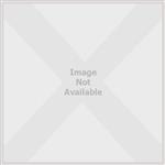 Human Anatomy and Physiology