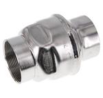 G2'' RVS 304 Terugslagklep FKM 0.03-16bar