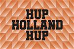 Vlag Holland 1988 300x450 cm