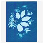 Solar cyanotype fotopapier 10 vel 28x21,5cm