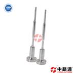 Common Rail Injector Valve FOOVC01055