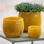 Pot | Goud/Topaz | H18 x D20 cm