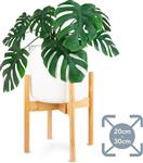 LifeGoods Bamboe Uitschuifbare Plant Houder