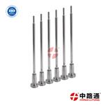 Common Rail Injector Valve FOOZ CO1 355