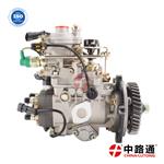 VE-type Injection Pump NJ-VE4/11E1150R173