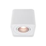 Opbouwspot Verbena LED Wit 5 Watt