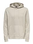 Regulair Hoodie Silver Lining