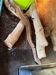 Boa constrictor