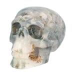 Mosagaat schedel 1482 gram