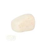 Scolesiet Knuffelsteen Nr 22 - 15 gram