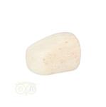 Scolesiet Knuffelsteen Nr 22 - 15 gram