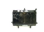 Yamaha TDR 125 1989-1992 437V RADIATEUR