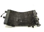 Yamaha GTS 1000 1993-1999 437V RADIATEUR
