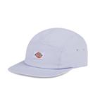 Dickies Albertville 5-Panel Baseballcap Lila