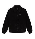 Dickies Chase City Jas