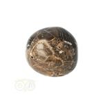 Stromatoliet Knuffelsteen Nr 25 - 25 gram