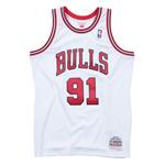 NBA Swingman Dennis Rodman Chicago Bulls 1997-98 Jersey