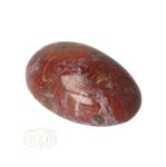 Versteend hout handsteen Nr 27 - 62 gram - Madagaskar