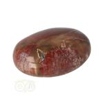 Versteend hout handsteen Nr 21 - 77 gram - Madagaskar