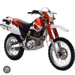 Yamaha ttr600 begarde