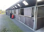 Paardenbox voorwand buitenboxen 4 stuks