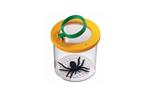 Insecten observatiepot