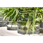 Vaas Matilda | Clear |  H26 x Ø35,5 cm