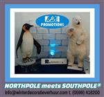 verhuur kerst winter etalering poolwolf bewegend 