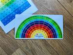 Tafelregenboog (25 cm)