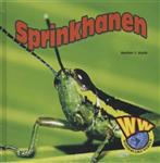 Wonderlijke wereld - Sprinkhanen