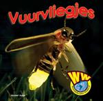 Wonderlijke wereld - Vuurvliegjes