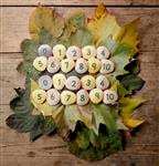 Pebbles/stenen -  cijfers 0-10 (22 stuks)