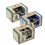 Professor Puzzle's mini Great Minds metalen puzzels (set van 3 st.)