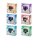 Professor Puzzle's breinkrakers sextet (set van 6)