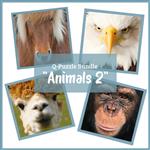 Curiosi Q-puzzel (moeilijke stukjes) - Voordeelset Dieren 2 (4 st.)