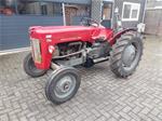 Massey Ferguson 30 met maaibalk