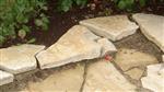 flagstones Geel - breuksteen