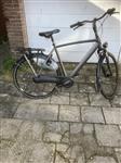 Zeer nette gazelle orange heren 