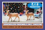 rendieren en slee aankleding verhuur arnhem