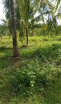 60 hectare land te koop in Zambia Afrika 