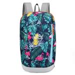 10L lichtgewicht opvouwbare rugzak unisex - waterdichte ultralichte buitentas reiswandelpakket