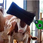 Verbeterde roterende koeborstel Spinder Nirvana 24V