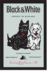 Black & White speigel
