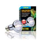 Halogen Basking Spot
