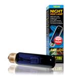 Night Heat Lamp