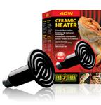 Ceramic Heater Lamp