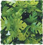 Natural Bush – Amazonian Phyllo